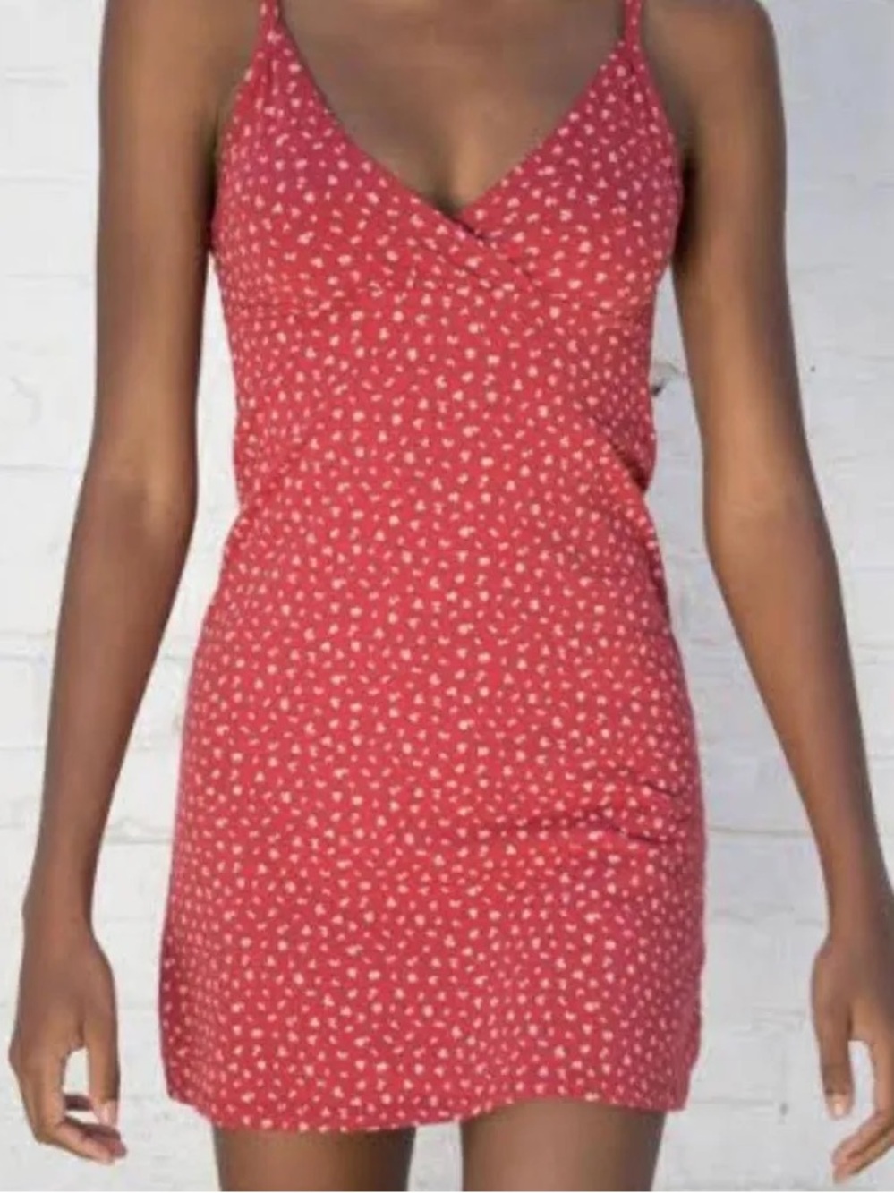 Brandy Melville Amara Rust/Red Floral Slip Dress with V-Neck